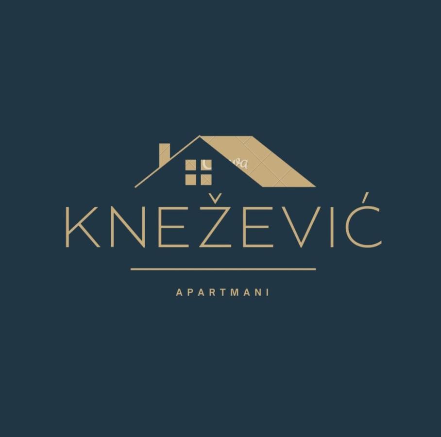 Knezevic Apartman Podgorica Buitenkant foto
