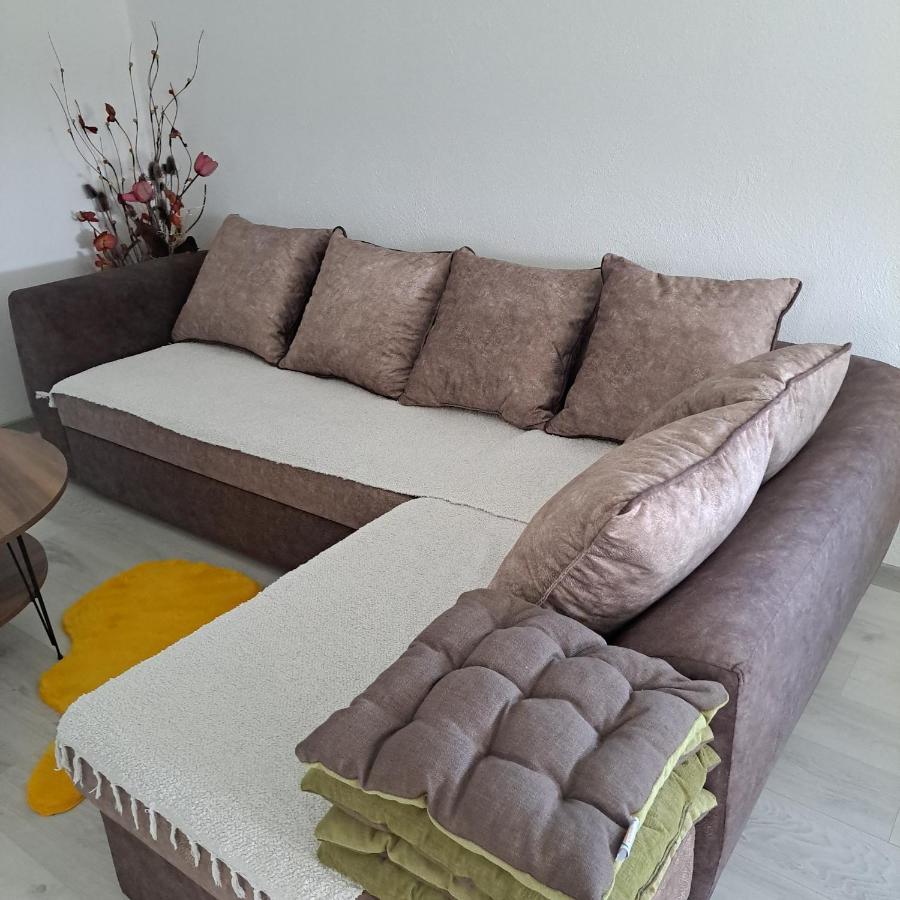 Knezevic Apartman Podgorica Buitenkant foto